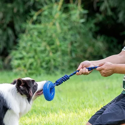 Petopia Jouet couineur pour chien