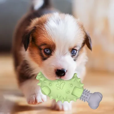 Pet Planet Chiens Poulet Pattes Jouets pour Chiens