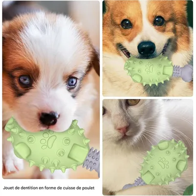 Pet Planet Chiens Poulet Pattes Jouets pour Chiens