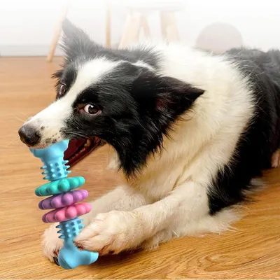 Petopia Jouet à mâcher pour chien