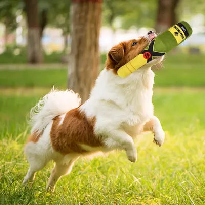 Pet Planet Chiens Champagne Deux Jouets à Couinement