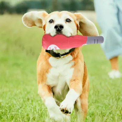 Pet Planet Chiens Vin Pétillant Deux Jouets à Couinement