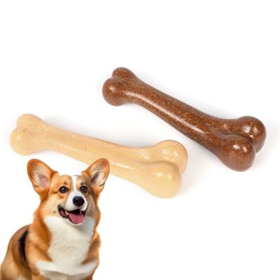 Petopia Jouet en Os Simulé pour Chien avec Arôme de Boeuf