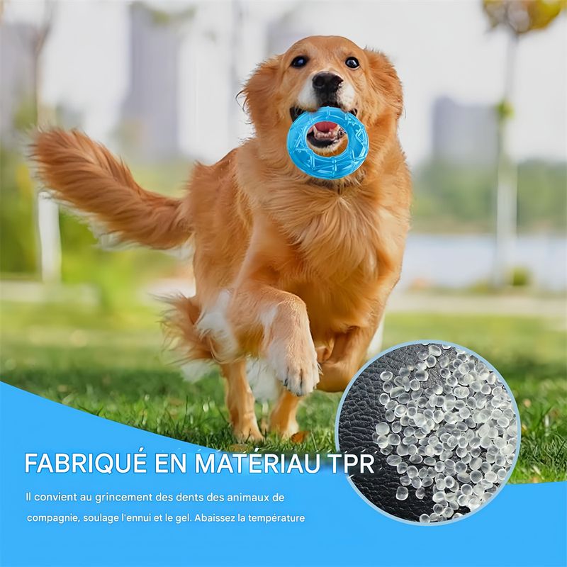 Pet Planet Jouet à mâcher congelable pour chien