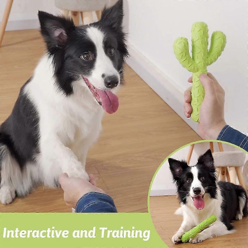 UAMLY Jouets à mâcher pour chien, cactus en caoutchouc