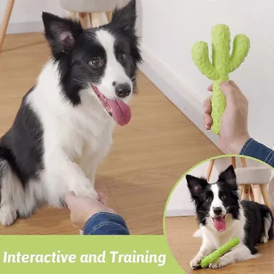 UAMLY Jouets à mâcher pour chien, cactus en caoutchouc