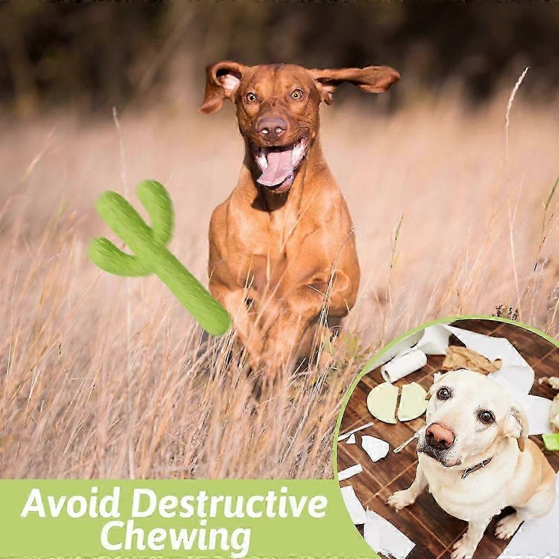 UAMLY Jouets à mâcher pour chien, cactus en caoutchouc