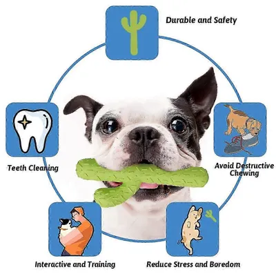 UAMLY Jouets à mâcher pour chien, cactus en caoutchouc