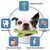 UAMLY Jouets à mâcher pour chien, cactus en caoutchouc