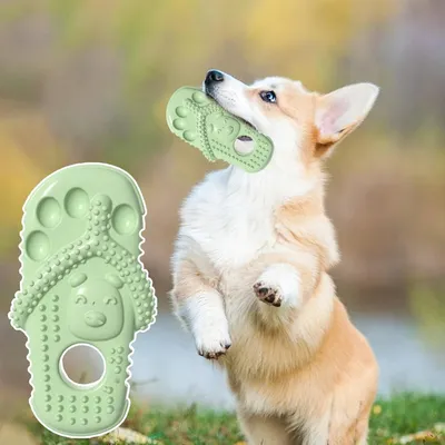 Petopia Jouet couineur pour chien