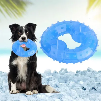 Pet Planet Jouet congelable en forme de beignet pour chien