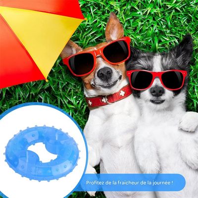 Pet Planet Jouet congelable en forme de beignet pour chien