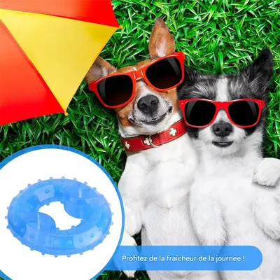 Pet Planet Jouet congelable en forme de beignet pour chien