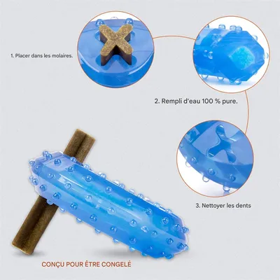 Pet Planet Jouet congelable en forme de beignet pour chien