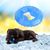 Pet Planet Jouet congelable en forme de beignet pour chien