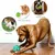 Distributeurs de friandises interactifs pour chien - Lot de 3