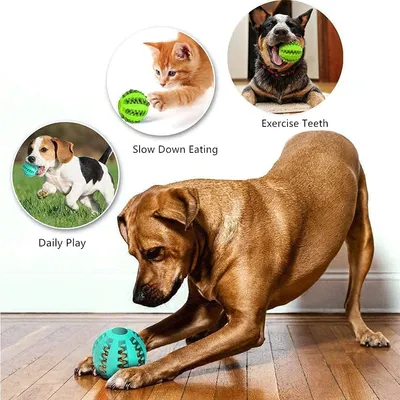 Distributeurs de friandises interactifs pour chien - Lot de 3