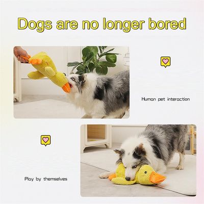 IntiMeg Jouet en peluche pour chien en forme de canard
