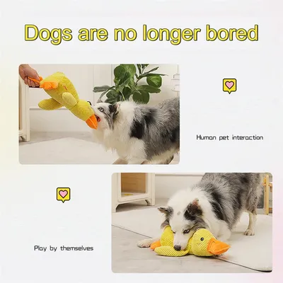 IntiMeg Jouet en peluche pour chien en forme de canard