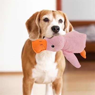 IntiMeg Jouet en peluche pour chien en forme de canard