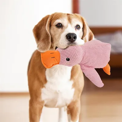 IntiMeg Jouet en peluche pour chien en forme de canard