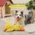 IntiMeg Jouet en peluche pour chien en forme de canard