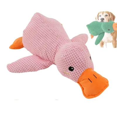 IntiMeg Jouet en peluche pour chien en forme de canard
