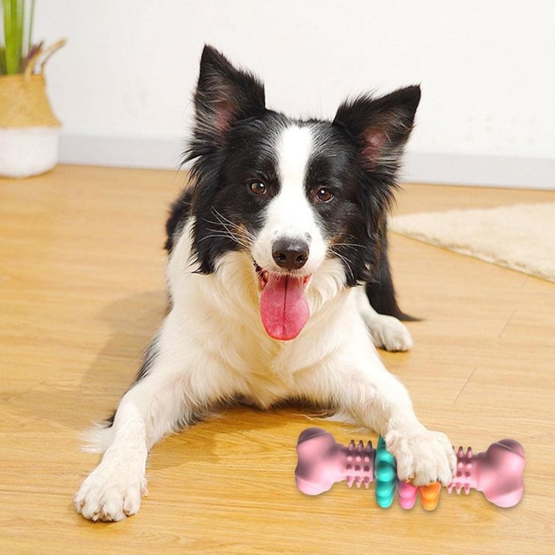Petopia Jouet à mâcher pour chien