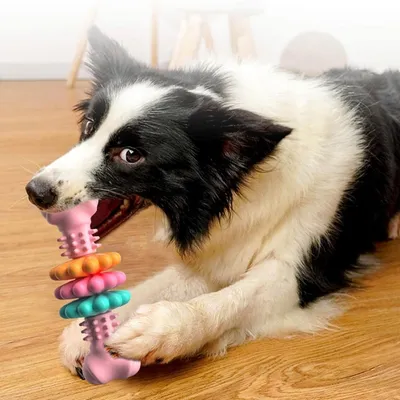 Petopia Jouet à mâcher pour chien