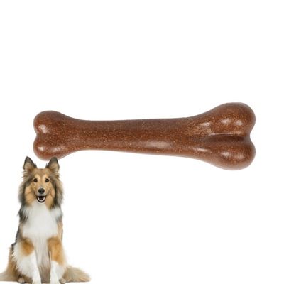 Petopia Jouet en Os Simulé pour Chien avec Arôme de Boeuf