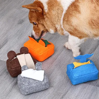 Pet Planet Animaux de Compagnie JouetsSet Jouet de Boîte À Mouchoirs