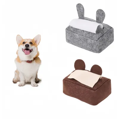 Pet Planet Animaux de Compagnie JouetsSet Jouet de Boîte À Mouchoirs