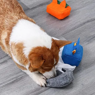 Pet Planet Animaux de Compagnie JouetsSet Jouet de Boîte À Mouchoirs