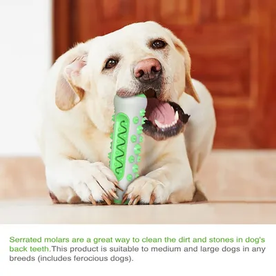 Petopia Bâton de nettoyage des dents pour chien