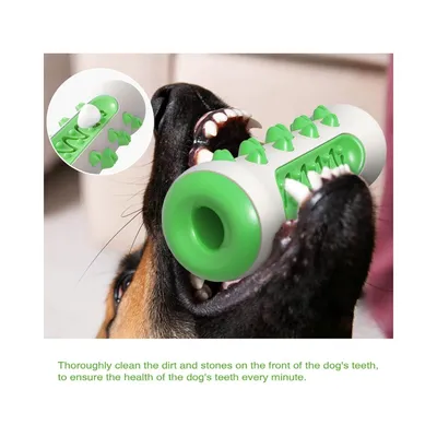 Petopia Bâton de nettoyage des dents pour chien