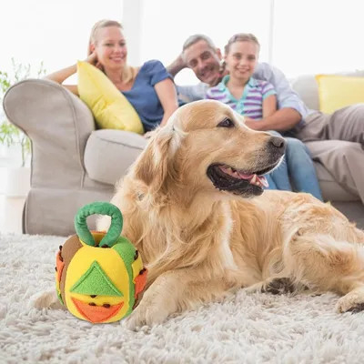 Petopia Jouet couineur en peluche pour chien