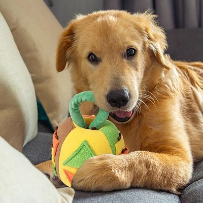 Petopia Jouet couineur en peluche pour chien