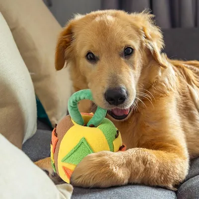 Petopia Jouet couineur en peluche pour chien