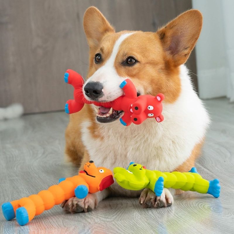 Petopia Jouet sonore pour chien