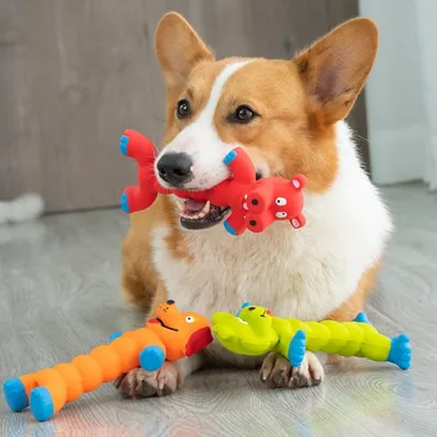 Petopia Jouet sonore pour chien