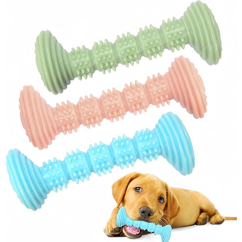 Pet Planet Chiens JouetsSet Jouet à Mâcher en Caoutchouc Naturel