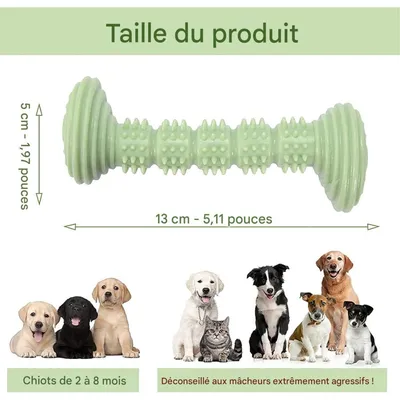 Pet Planet Chiens JouetsSet Jouet à Mâcher en Caoutchouc Naturel