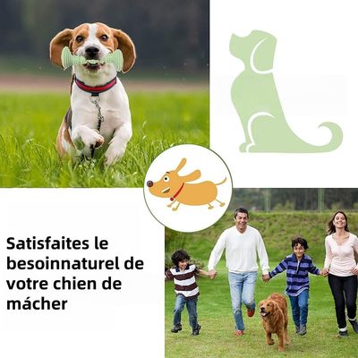 Pet Planet Chiens JouetsSet Jouet à Mâcher en Caoutchouc Naturel