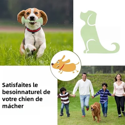 Pet Planet Chiens JouetsSet Jouet à Mâcher en Caoutchouc Naturel