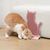 Pet Planet Chats Brosse De Toilettage Et Peigne De Massage