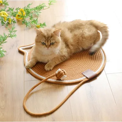 Pet Planet Chats Tapis de Griffe en Corde de Coton Naturelle Griffeuse