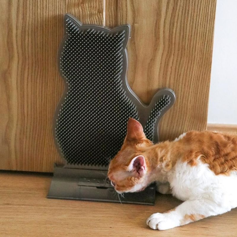 Pet Planet Chats Brosse De Toilettage Et Peigne De Massage