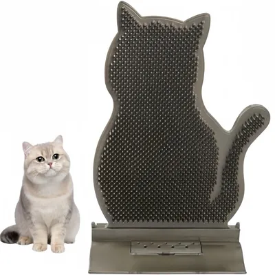 Pet Planet Chats Brosse De Toilettage Et Peigne De Massage