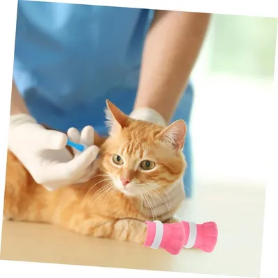 Pet Planet Animaux De Compagnie Bottines De Protection