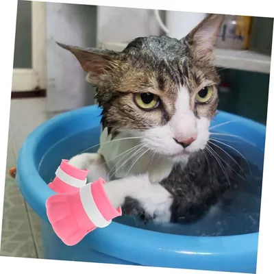 Pet Planet Animaux De Compagnie Bottines De Protection